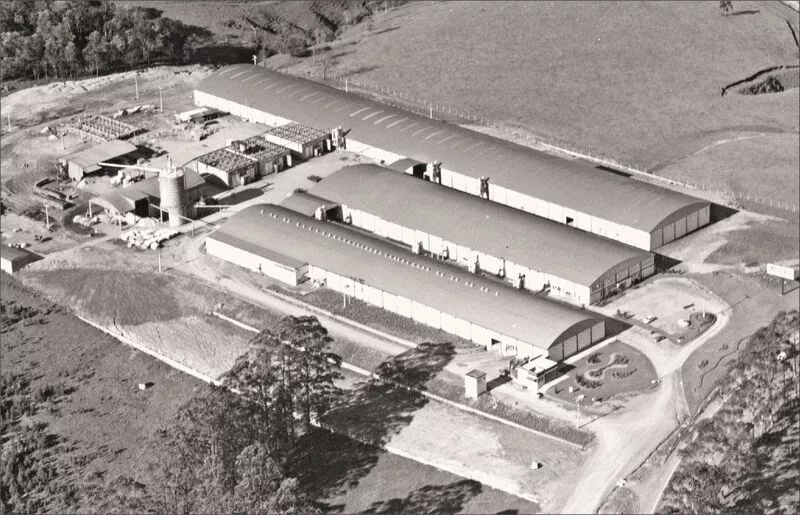 016 ampliação pouso